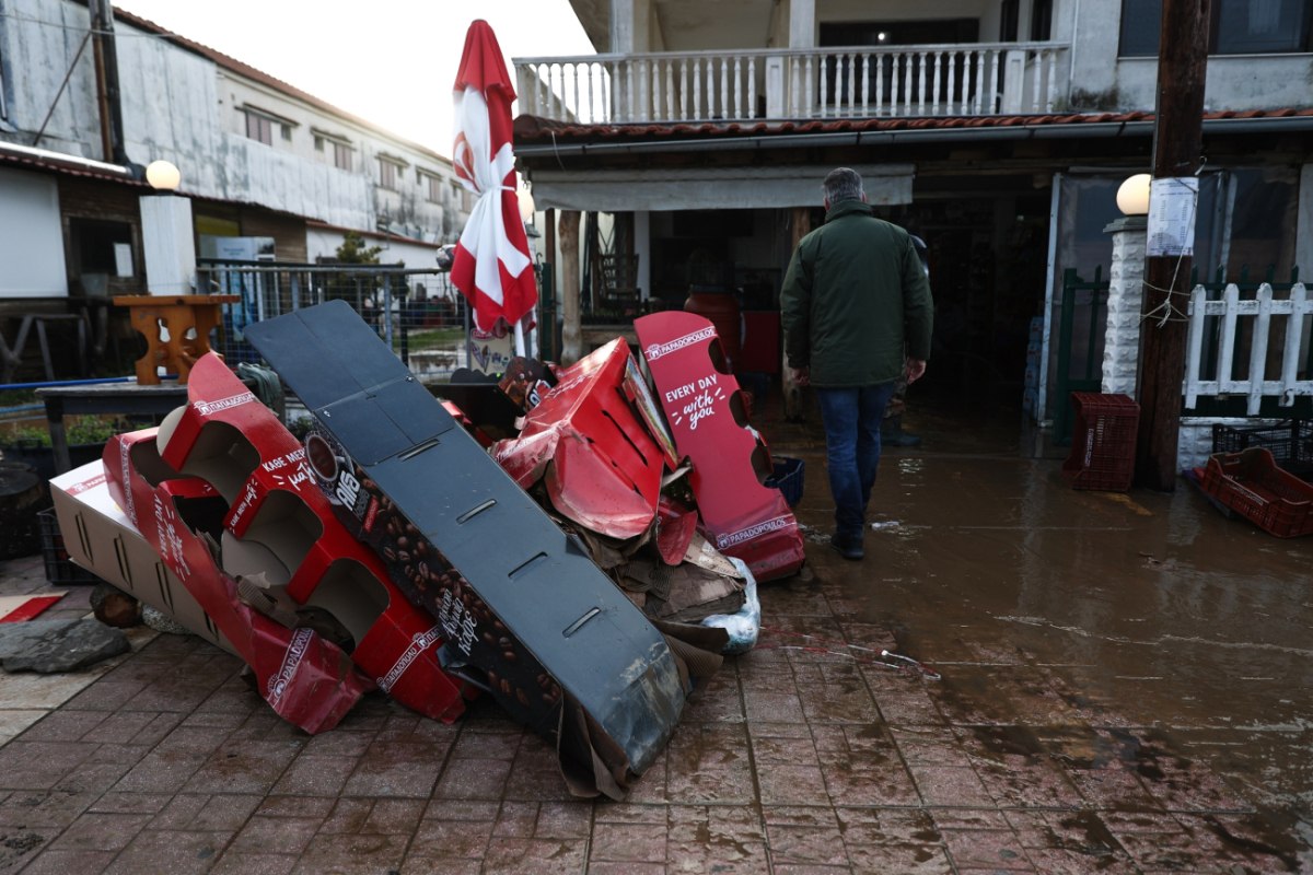 00_0029_20260201533a6309_sooc1769961548-1200x800