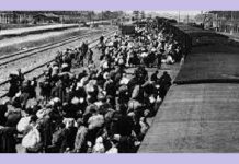 Το ταξίδι με το “τρένο του θανάτου” προς Άουσβιτς